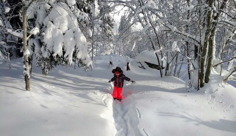 Hotel CROCUS **** Vysoké Tatry